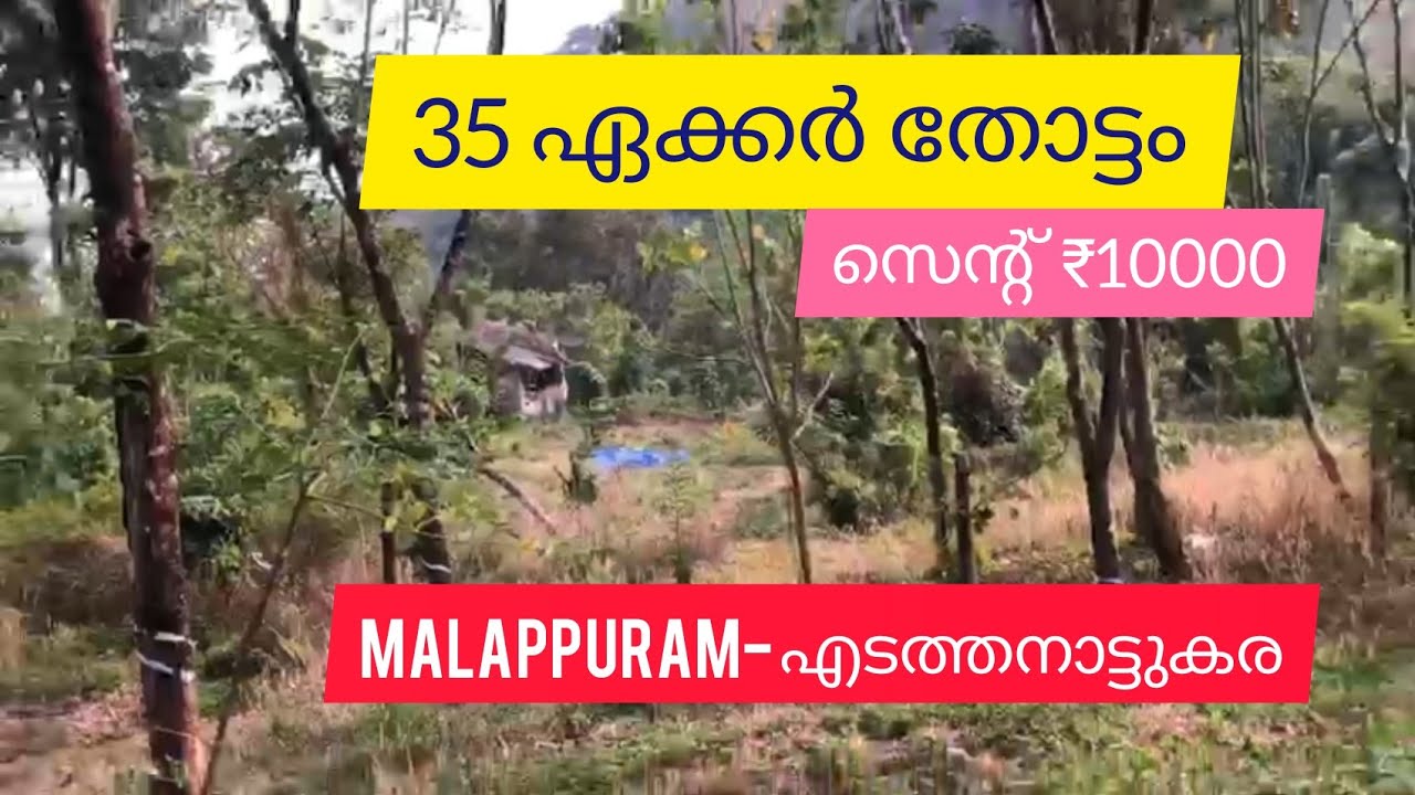 35 Acre Rubber Agri  Farm Resort Land | ഫാമിനും റിസോർട്ടിനും | For Sale | Malappuram (സെന്റ് 10000)