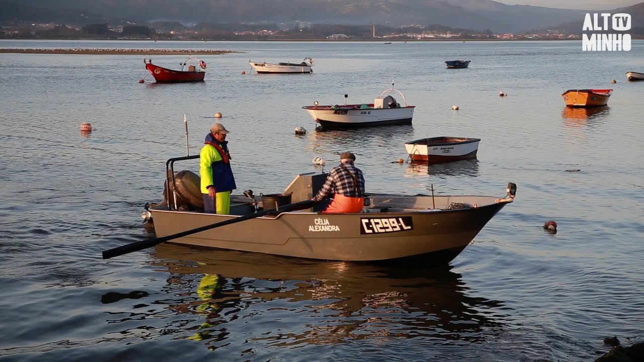 J&aacute; se pesca lampreia no Rio Minho | Altominho TV