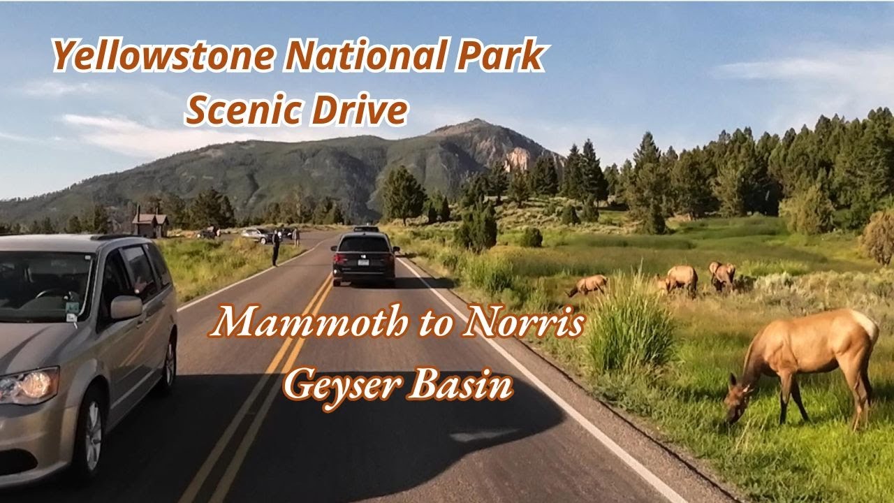 Yellowstone NP Scenic Drive - Mammoth to Norris Geyser Basin