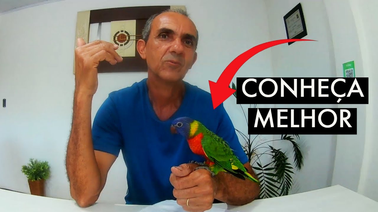 TUDO QUE VOCE PRECISA SABER SOBRE O L&Oacute;RIS
