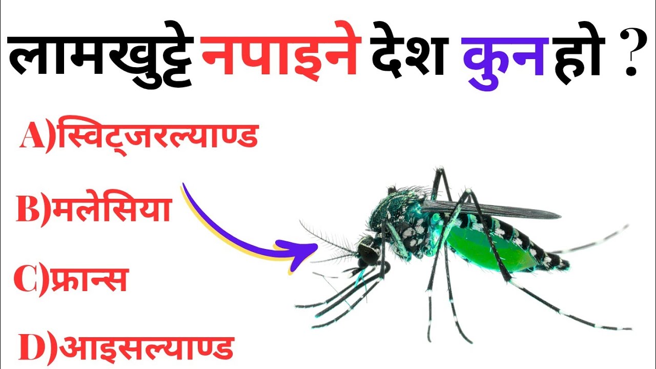 GK Questions And Answers in Nepali || Nepali GK || Loksewa GK ||@GopalRokaya-x8n #gk #quiz #loksewa 