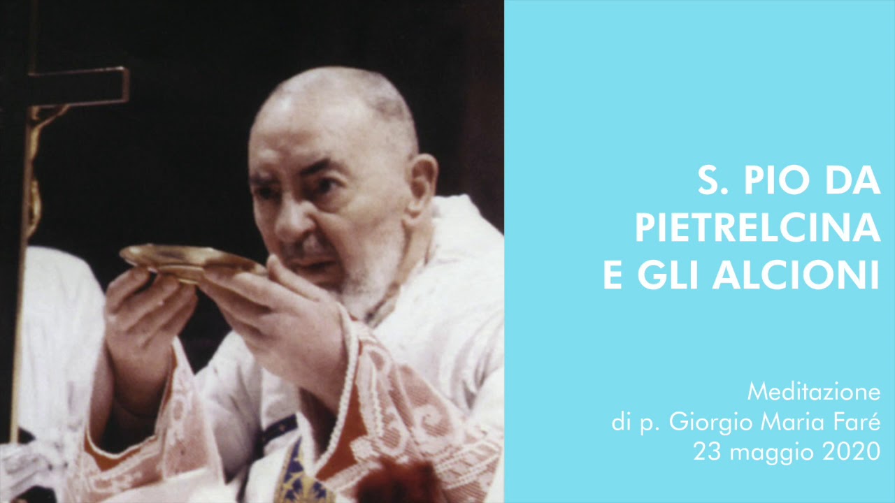 Meditazione: S.Pio da Pietrelcina e gli alcioni - p.Giorgio Maria Faré