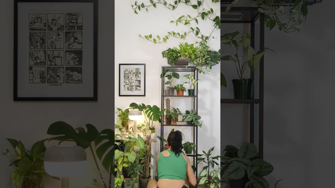 Leds para tus plantitas