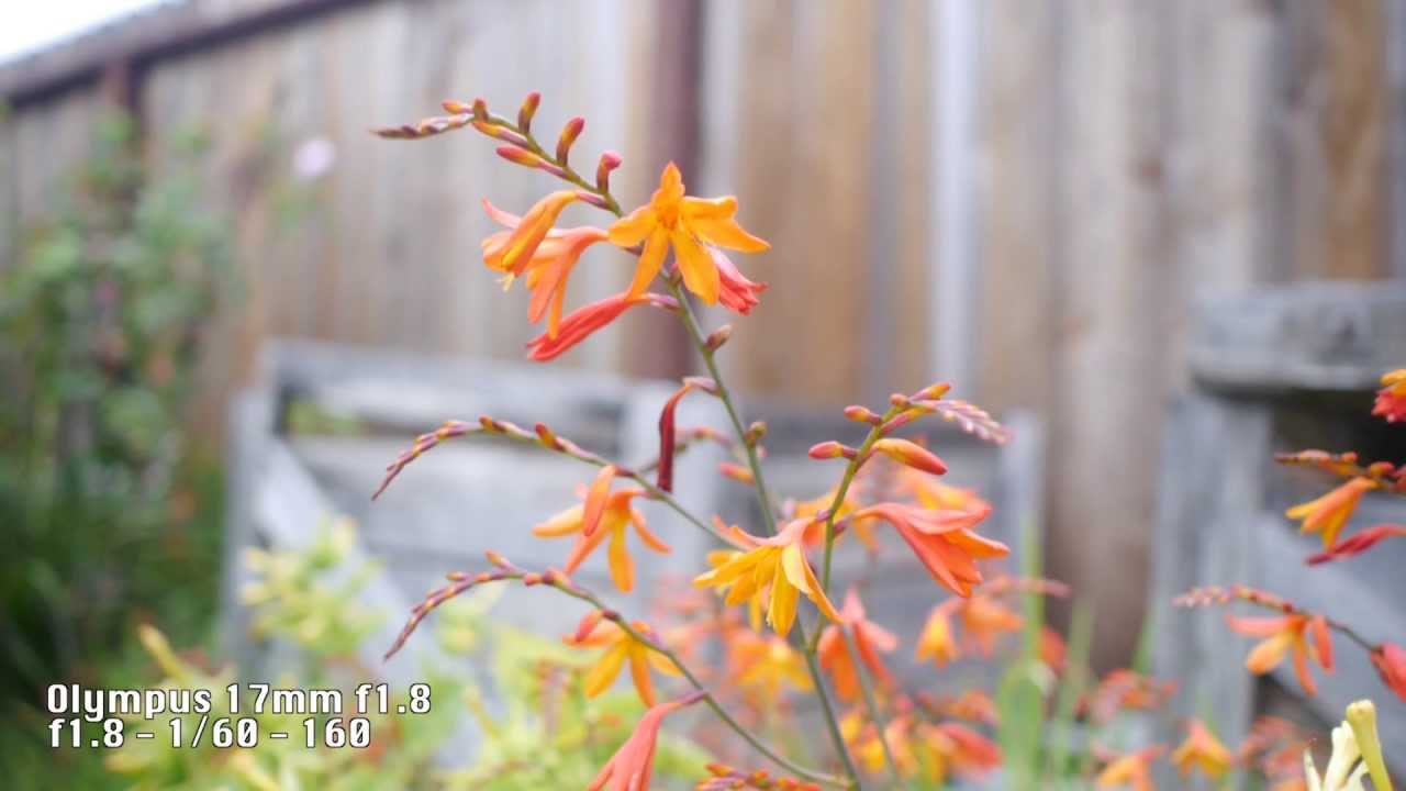 Video Test: Panasonic Lumix DMC-G6 with Various Lenses
