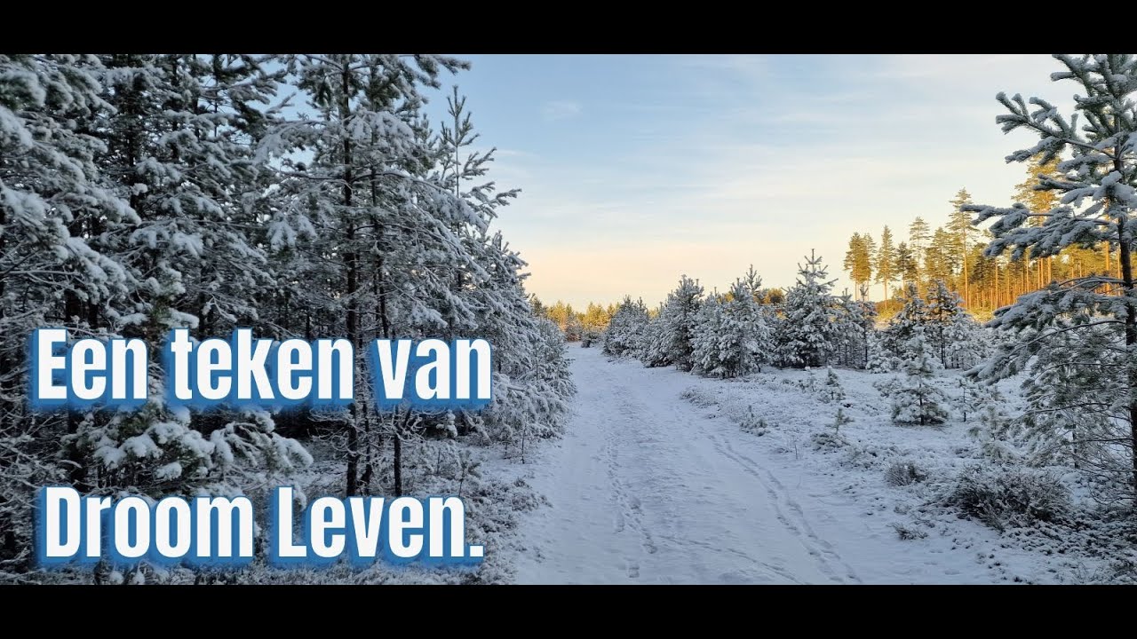 Eindelijk weer een teken van (Droom) Leven