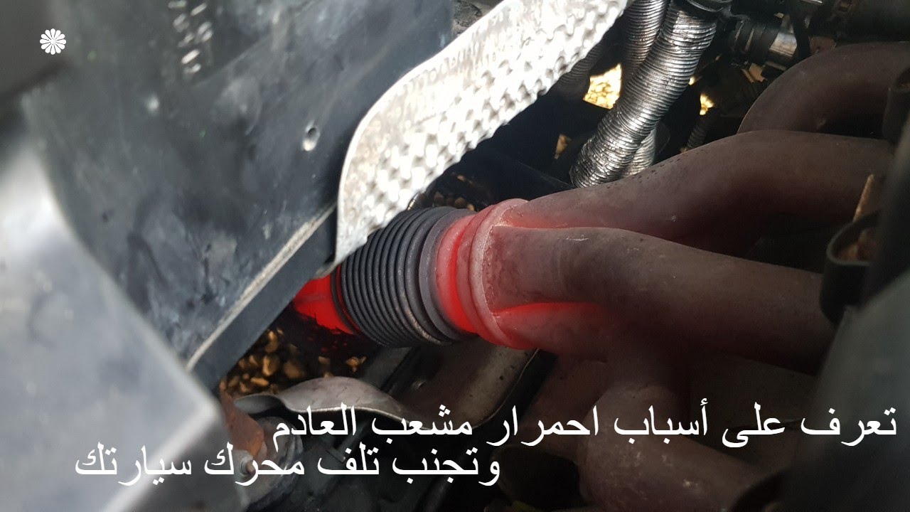 تجنب تلف محرك سيارتك! اكتشف الأسباب الشائعة لاحمرار مشعب العادم