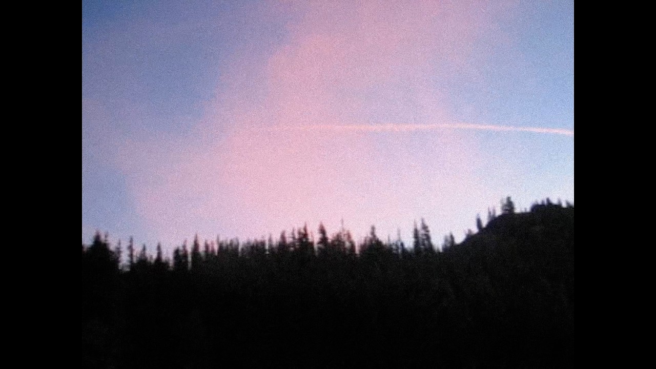 ✦ free pinegrove type beat 