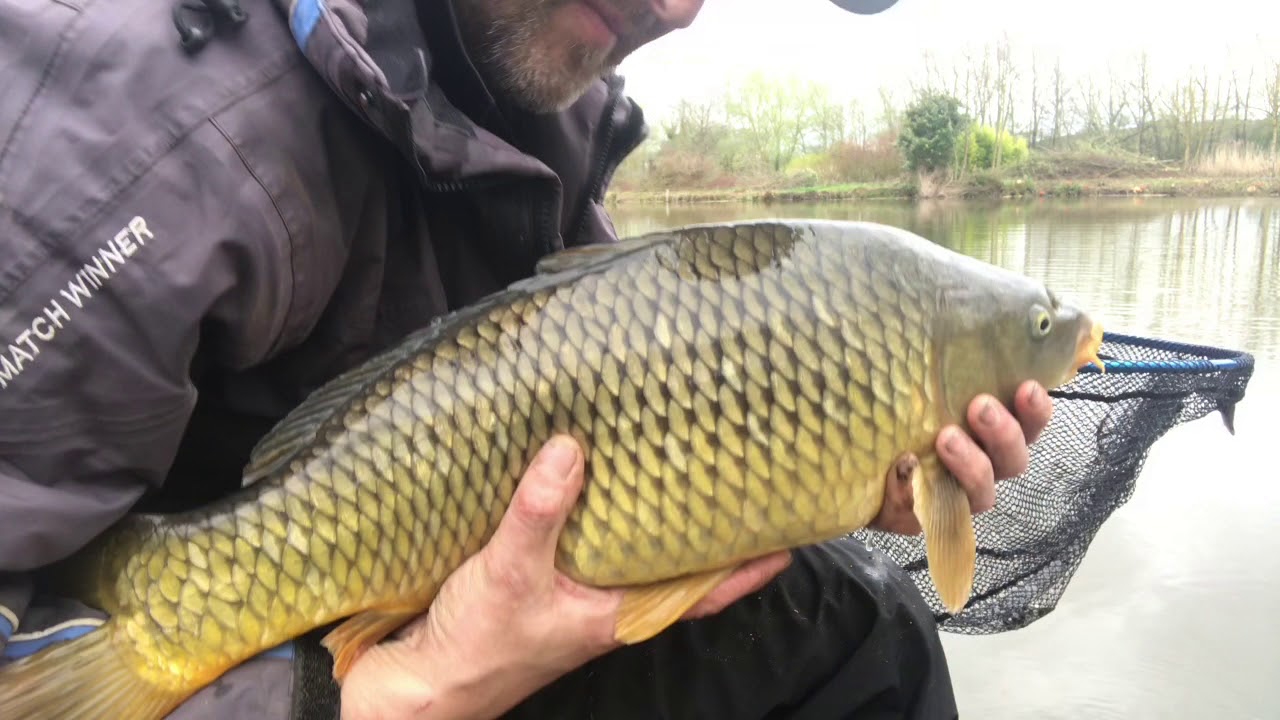 Fishing The Method Feeder wilden pool Kidderminster