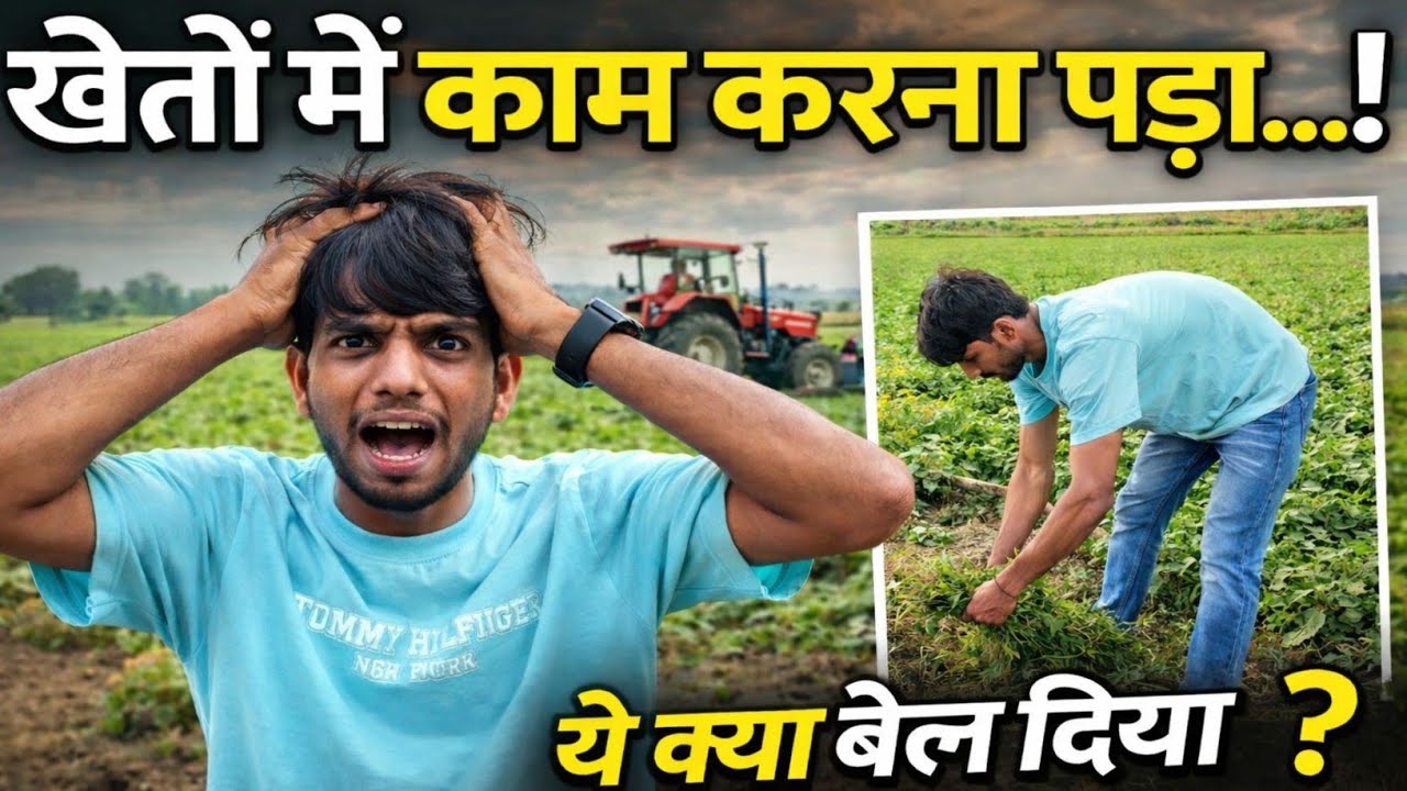 “खेतों में काम करना पड़ा 😔 | ये क्या बोल दिया?| Emotional Vlog खेतों में काम किया | सच सामने आ गया ✅