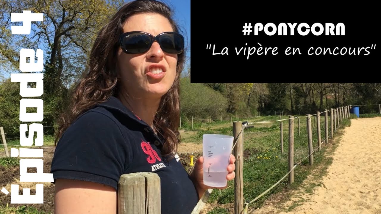 Série #ponycorn🐴 | LA VIPÈRE 
