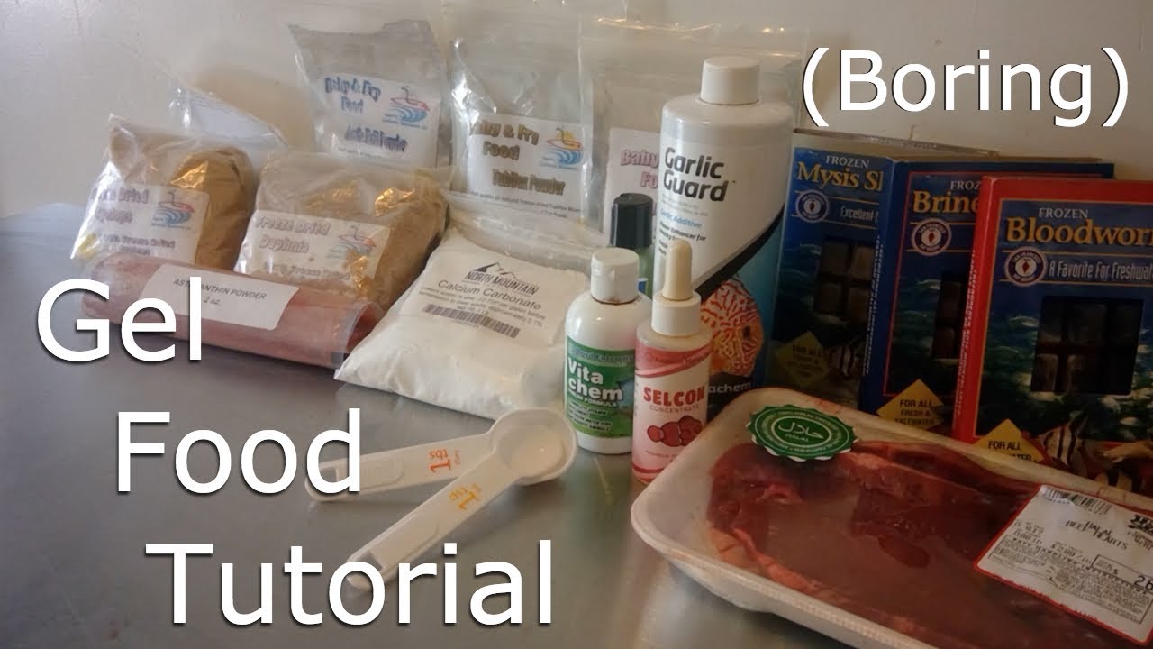 Gel Food Tutorial