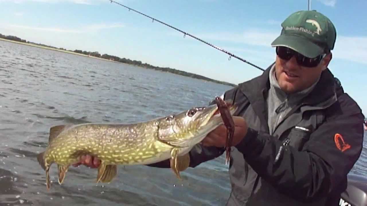 XXL Hechtangeln Bodden