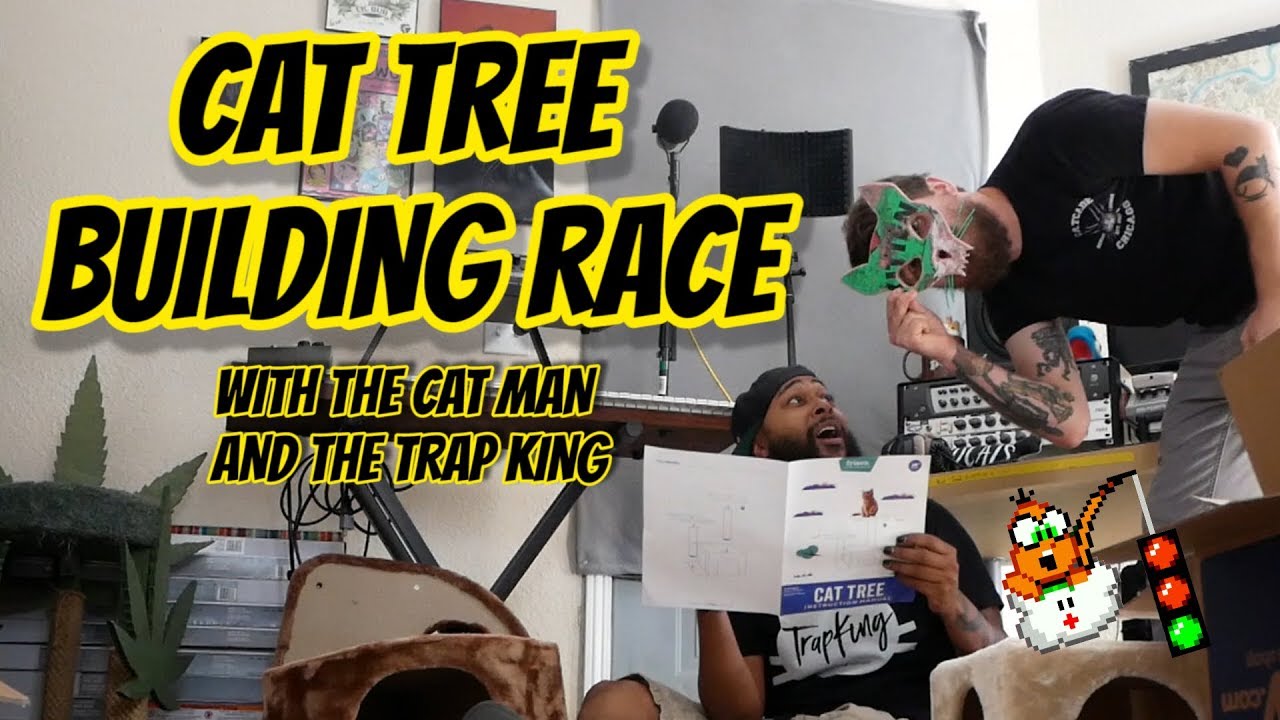 Cat Tree Building Race with The Cat Man and The TrapKing