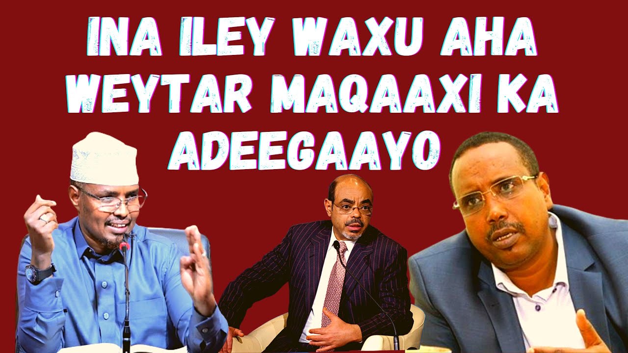 Sayidka Ma Somaali Ethiopia Kujihaadey Bu Aha Mase Ethiopian Somaliya Kujihaadey Sh Xassaan