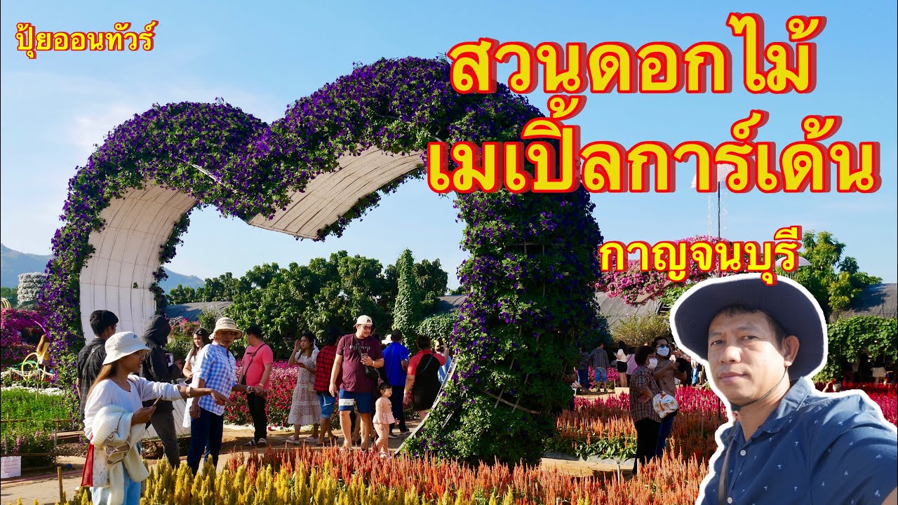 สวนดอกไม้ เมเปิ้ลการ์เด้น กาญจนบุรี