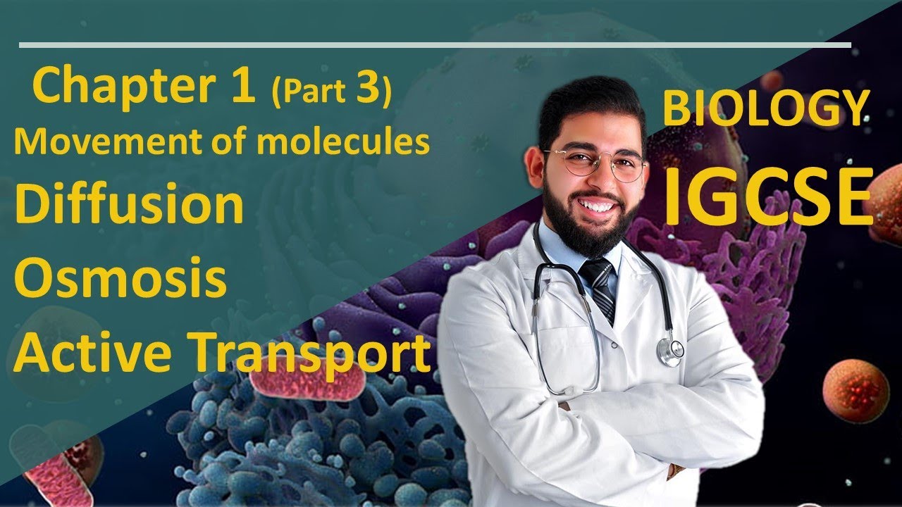 Biology IGCSE Movement of molecules in and out of the cells O.Level and Core