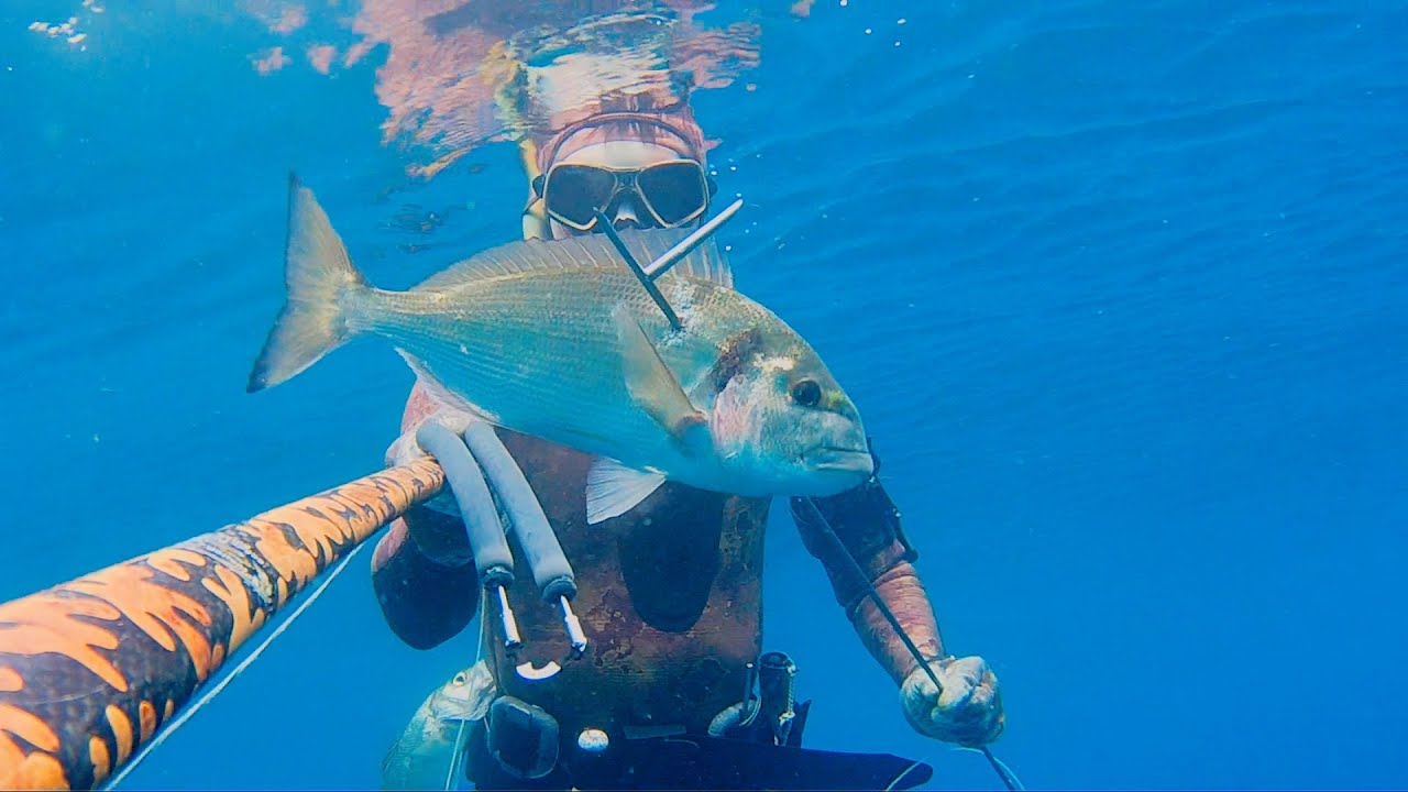 Pesca sub: Pescatona all'agguato con mare montante