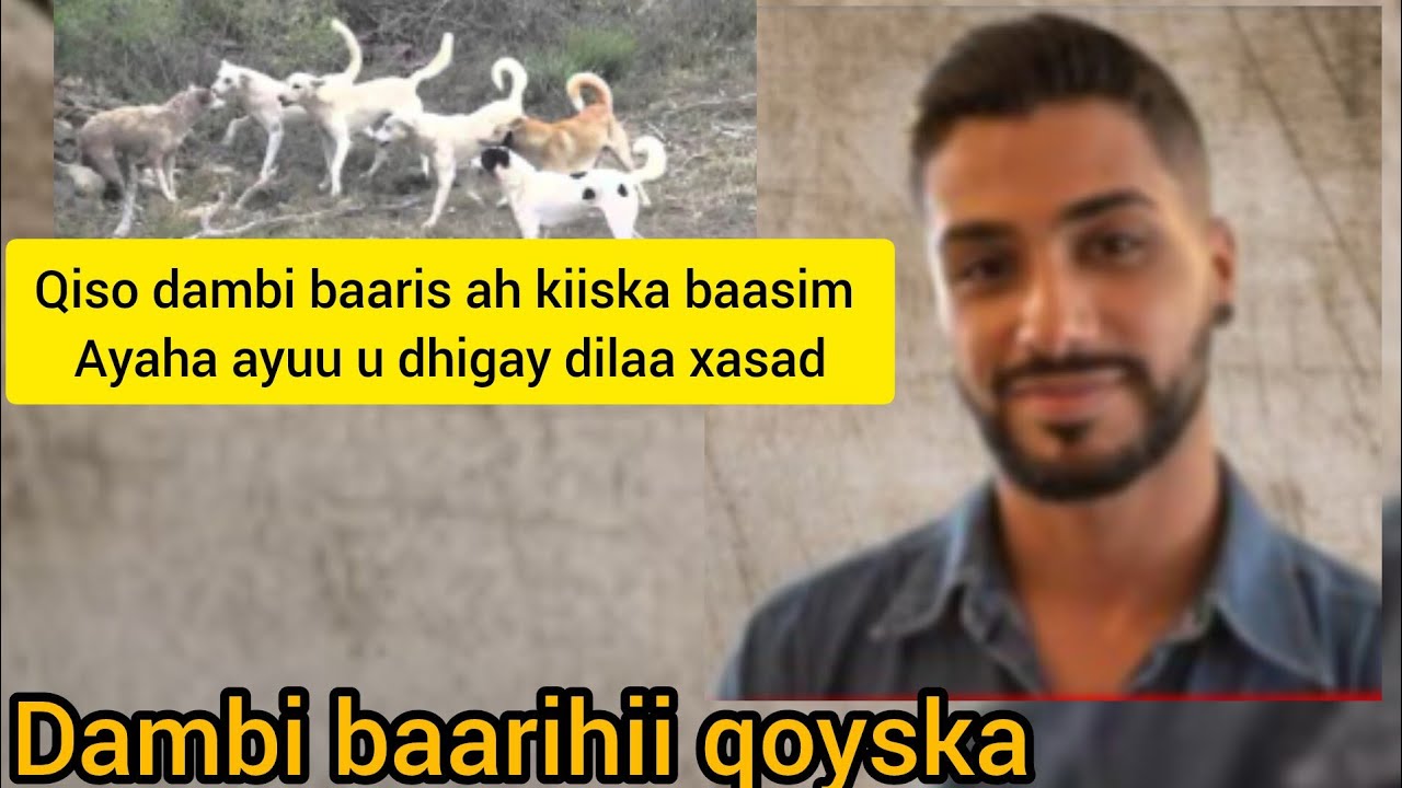 Qiso dambi baaris ah kiiska baasim iyo dambi baarihii qoyska