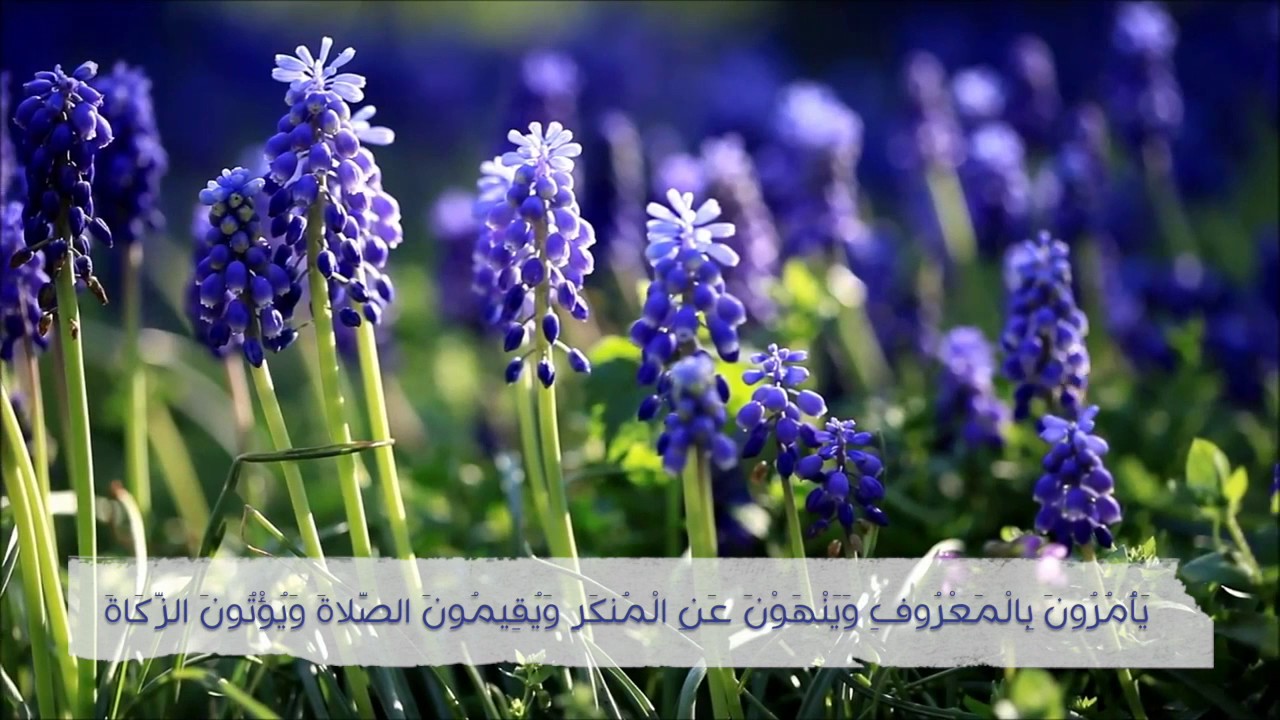 دار العمل ! | نصيحة قيمة | العلامة ابن باز رحمه الله