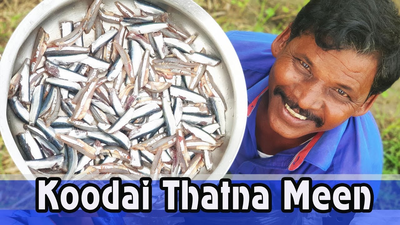 கூடைத்தட்டன மீன் குழம்பு | KOODAI THATNA MEEN KULAMBU | பாரம்பரிய சமையல்