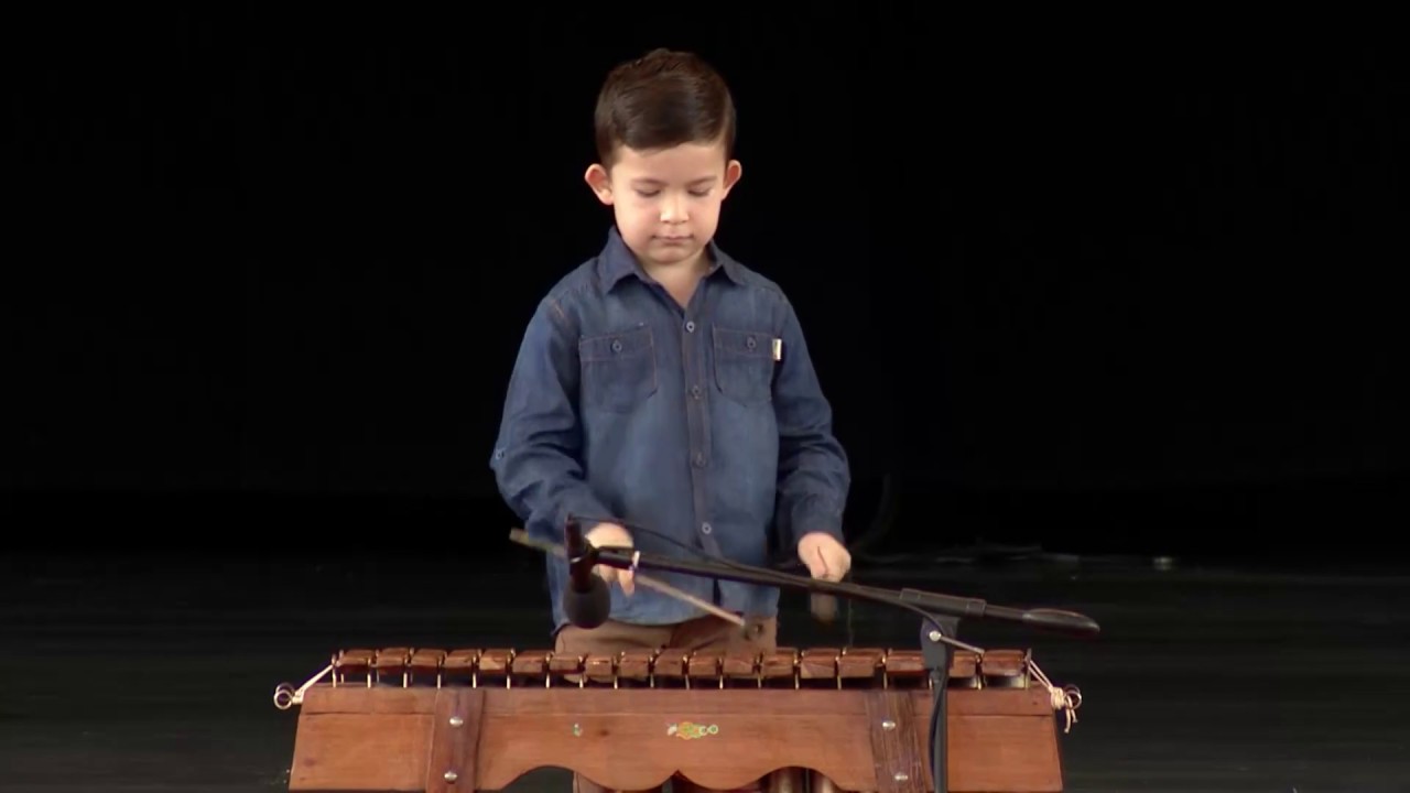 Teclas de fino coyol | carlos solano | TEDxPuraVidaED