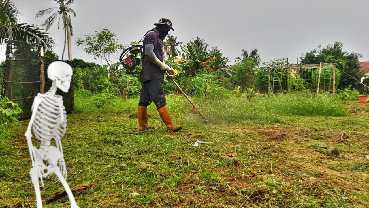 Potong Rumput Terlalu Tebal | Pembersihan Halaman - Sangat Memuaskan!