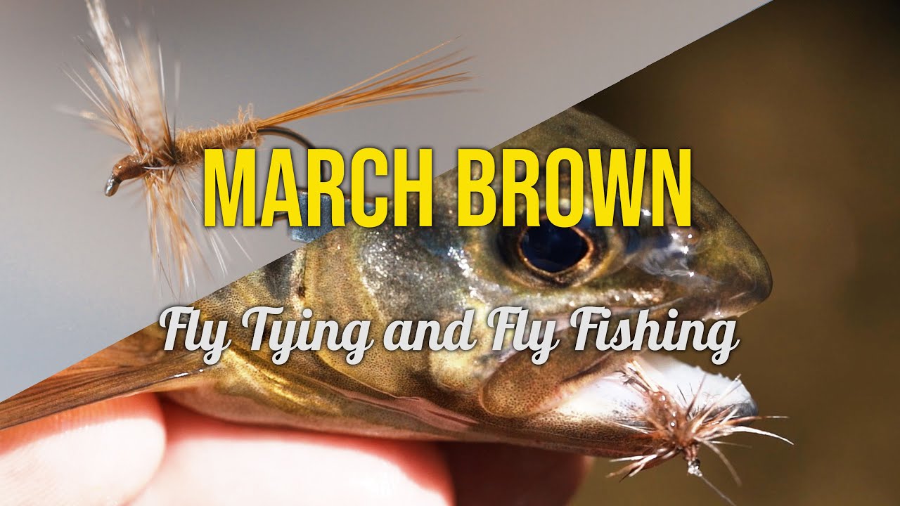 March Brown - Fly Tying & Fly Fishing