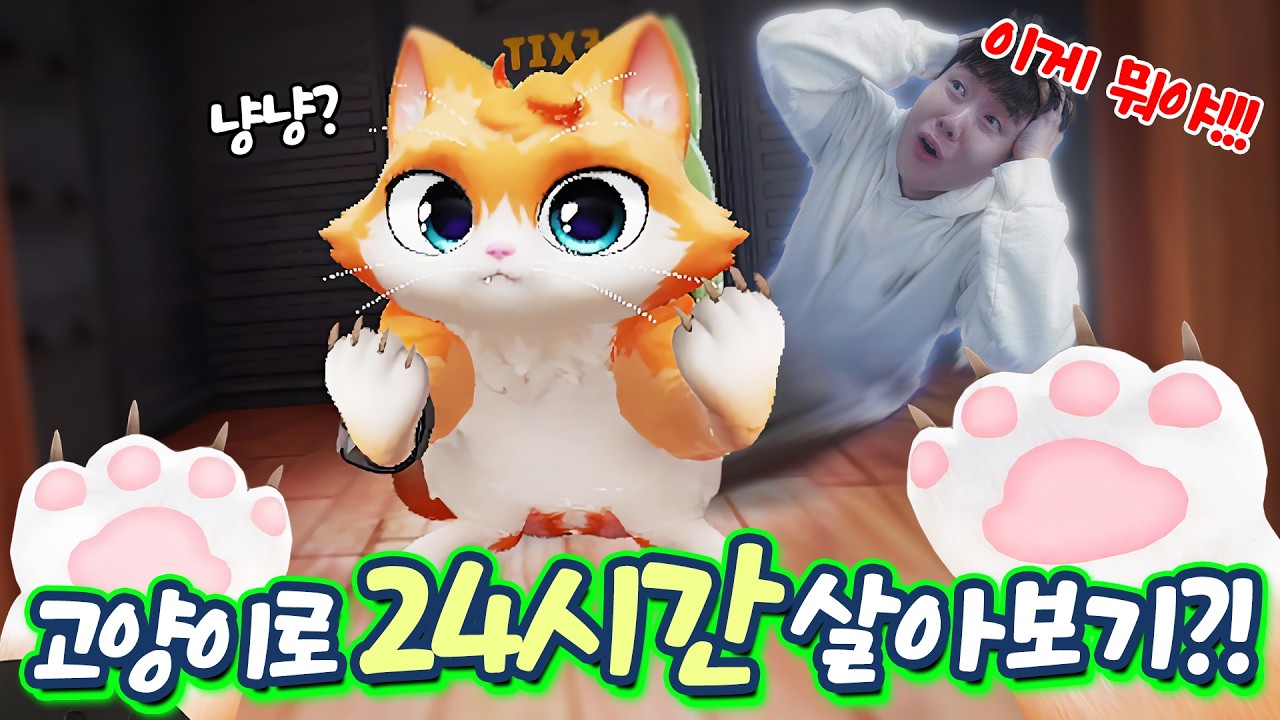 24시간동안 고양이가 되어 할머니 괴롭히기..? 후.. 고양이짓도 힘들구만(?)