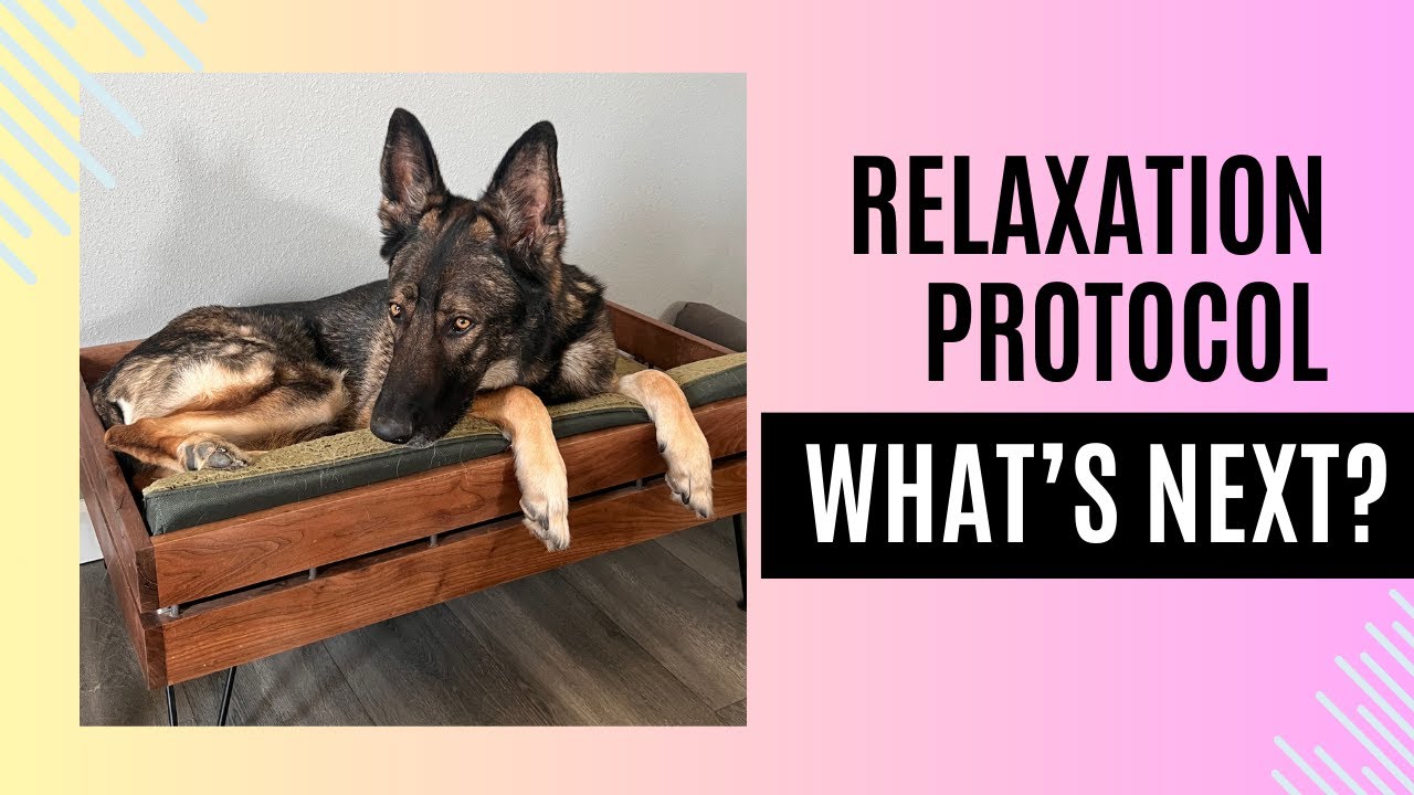Relaxation Protocol: What Next?