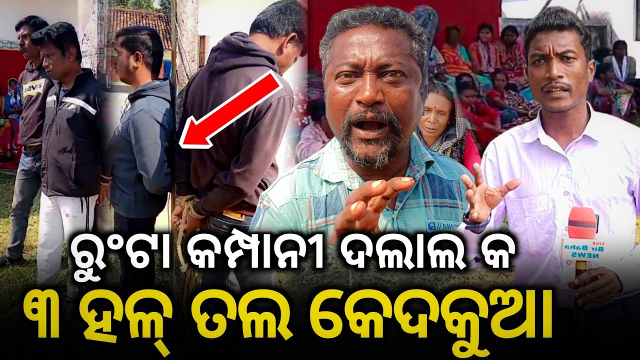 Rungta company Dalal ko Tal kate ko Dal Ked kuaa || Rairangpur Echagghutu atu @BirbahaDigitalNews 