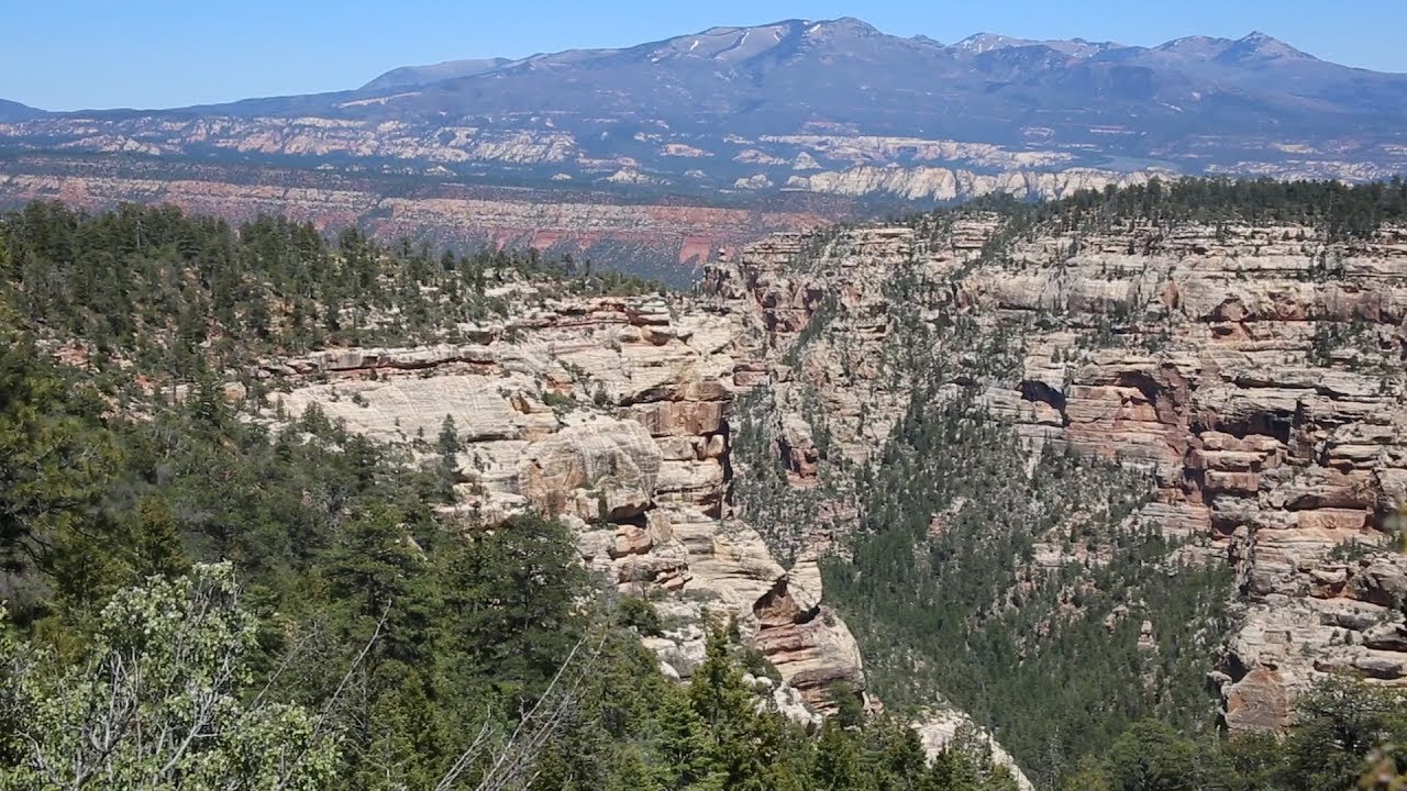 Elk Ridge on Manti-La Sal National Forest