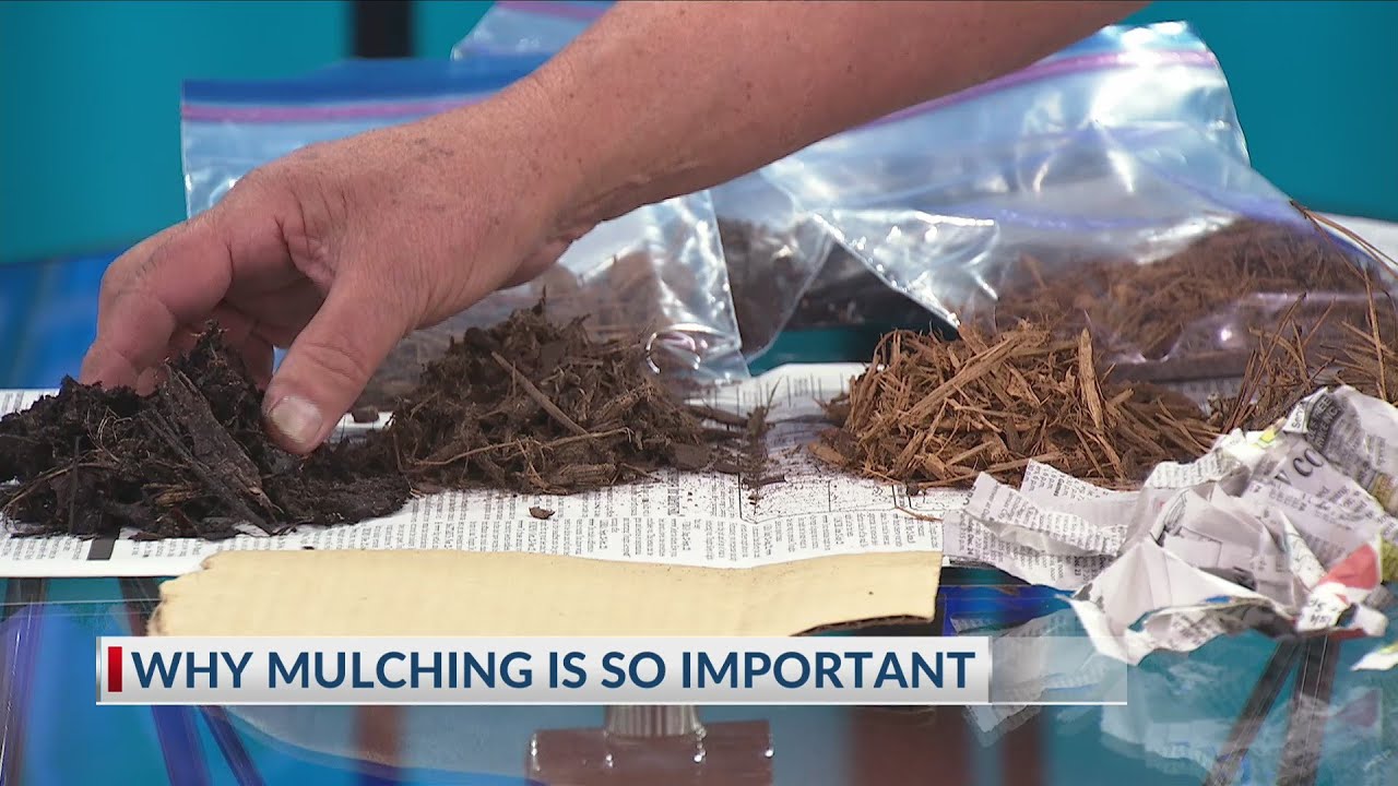Why Mulching is So Important