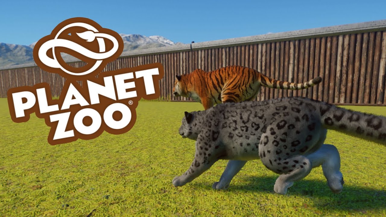 Planet Zoo: The Ultimate Big Cats Racing Tournament (Part 3)