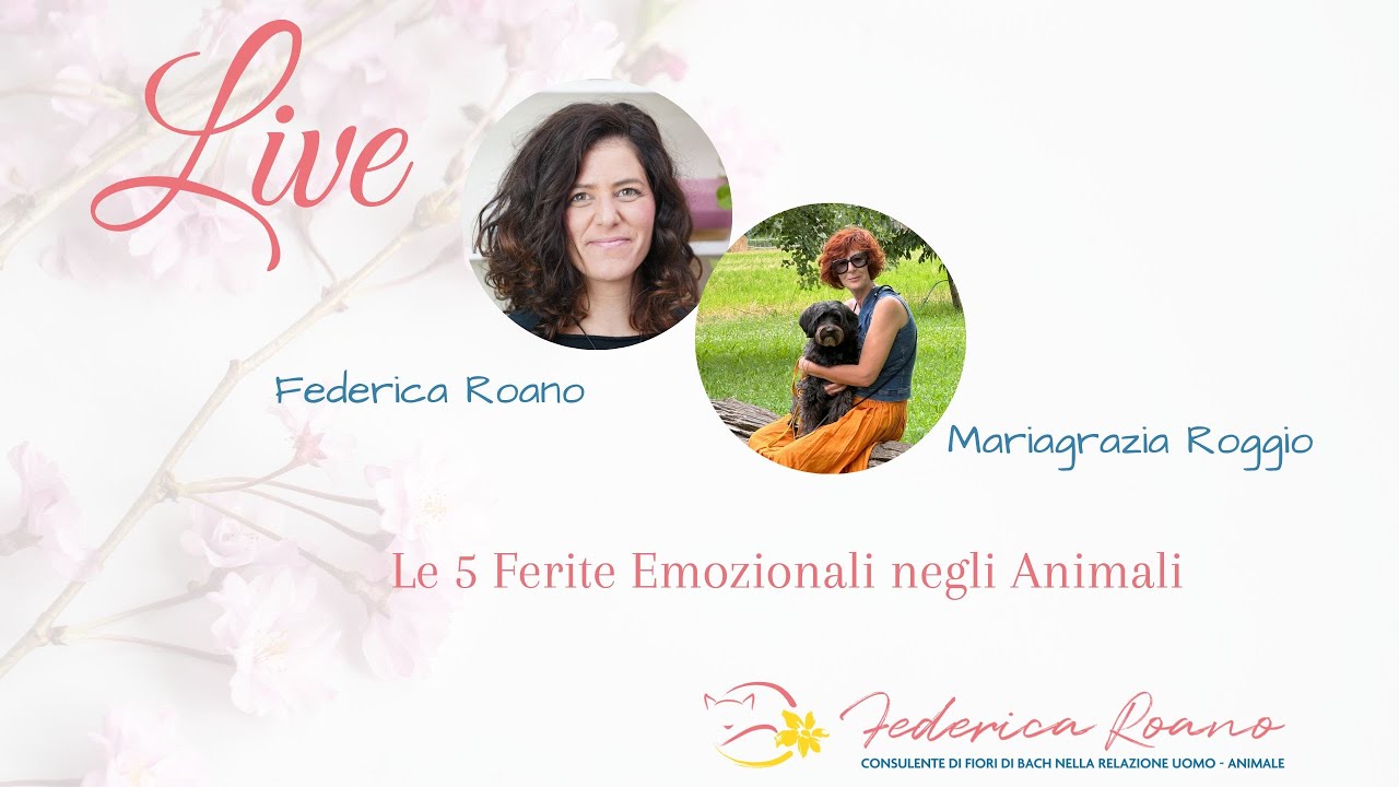 Le 5 ferite emozionali negli animali con Mariagrazia Roggio