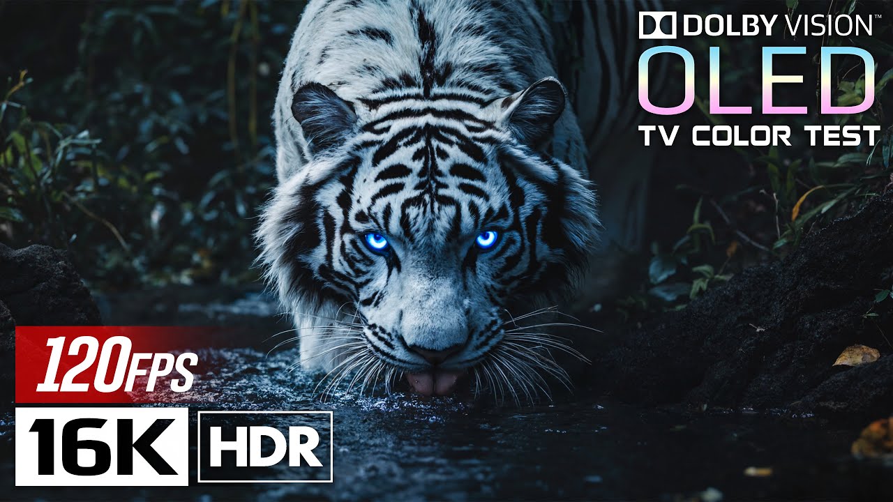OLED Nature Demo 16K HDR | Animal Planet • Perfect Blacks • 4K/8K TV