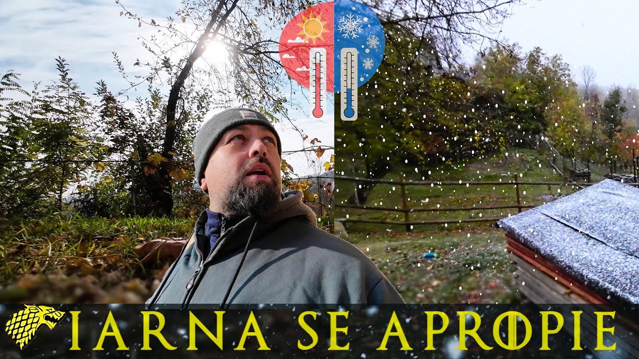 Zăpadă ne-a Găsit Nepregătiți❄️ Pregătim Lemnul Vechi de Reciclat & Casa de la Țară pentru Iarnă!