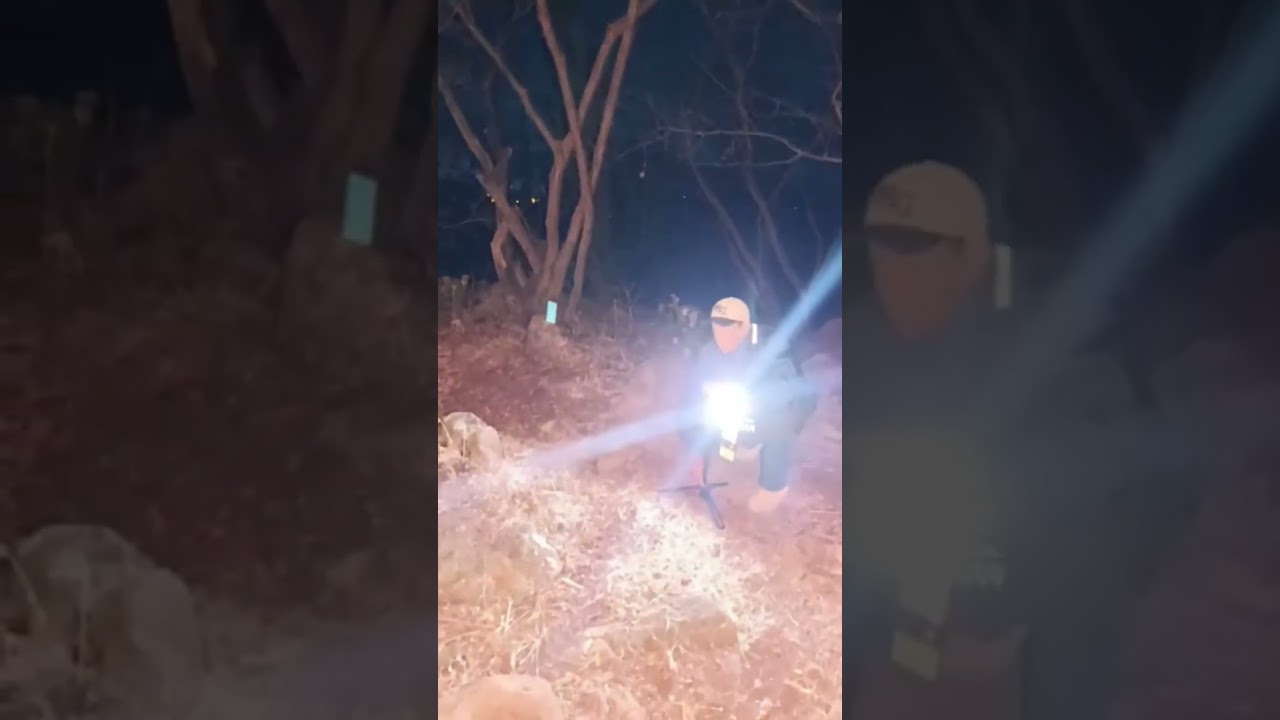 Se llevaron a Pedrito en el PUEBLO de las BRUJAS