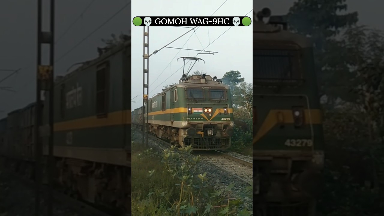 🟢💀 Gomoh WAG-9HC 43279 💀🟢 