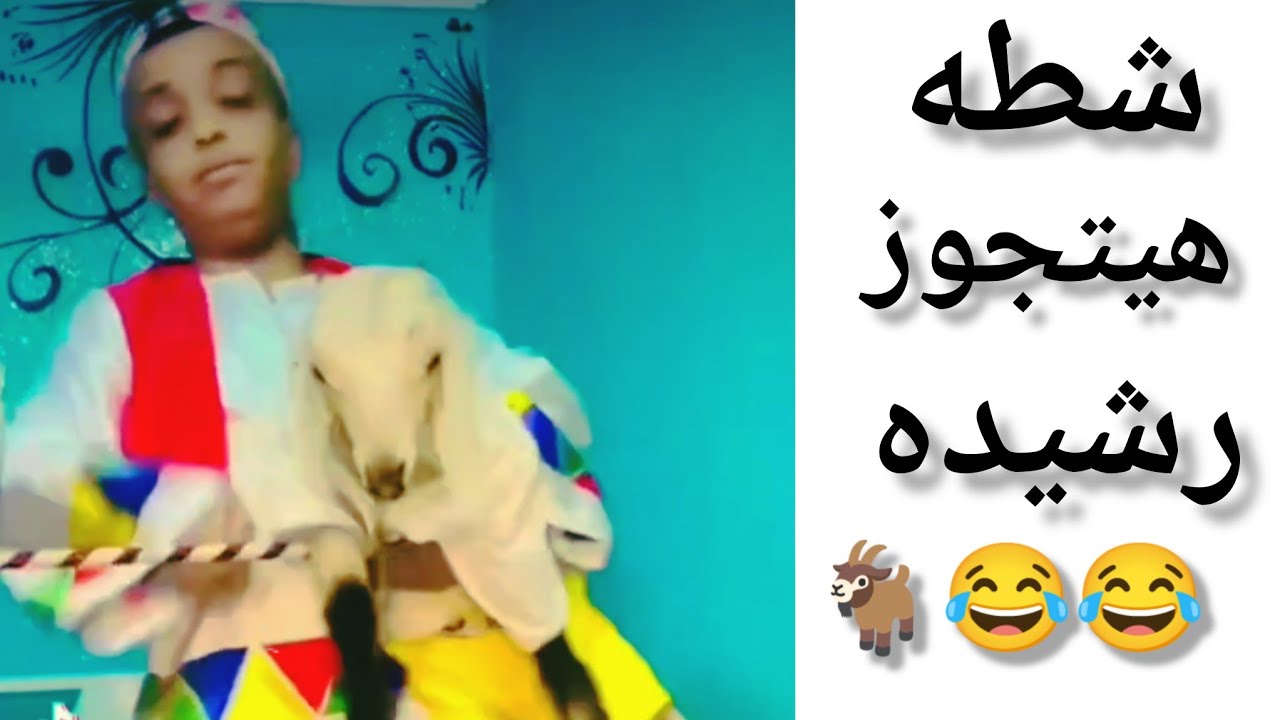 شطه هيتجوز 