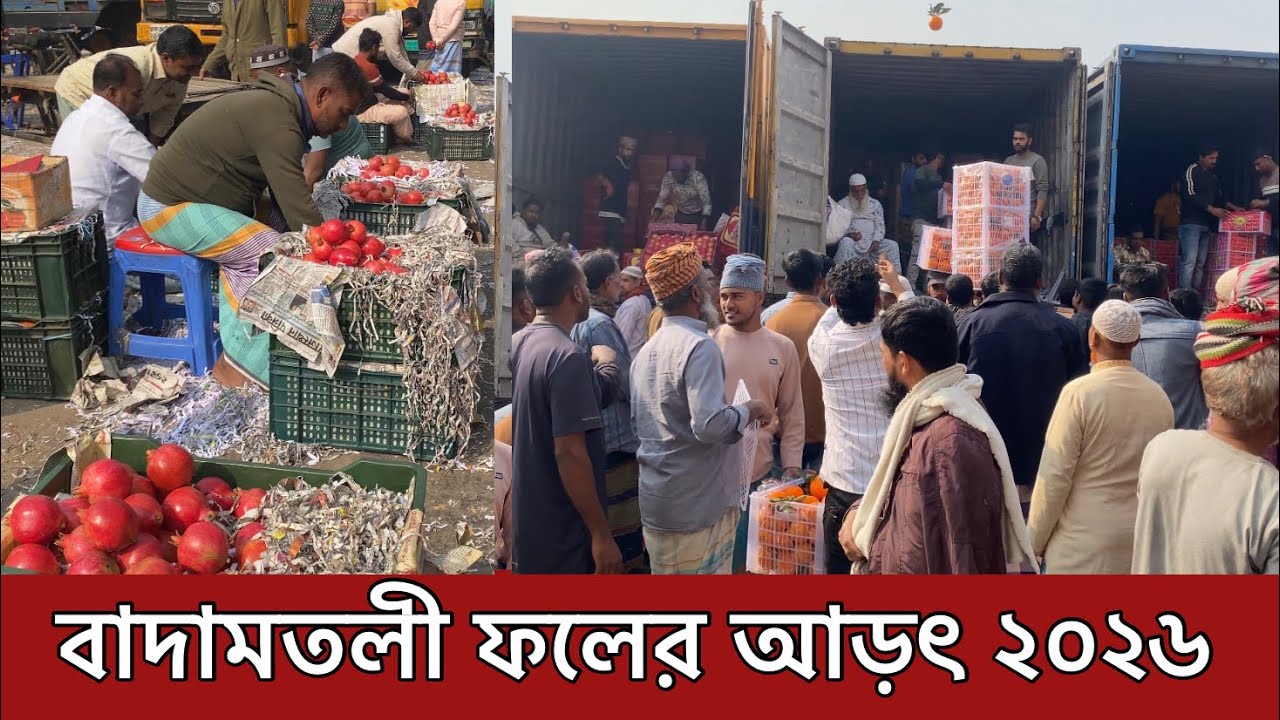বাদামতলী পাইকারি ফলের আড়ৎ ২০২৬ | Badamtoli Wholesale Fruit Market 2026