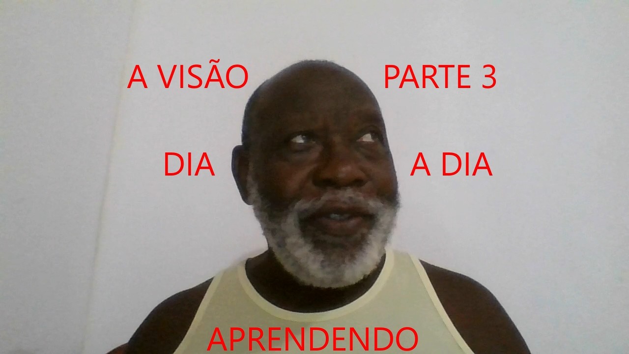 A VISÃO PARTE 3 dia a dia aprendendo