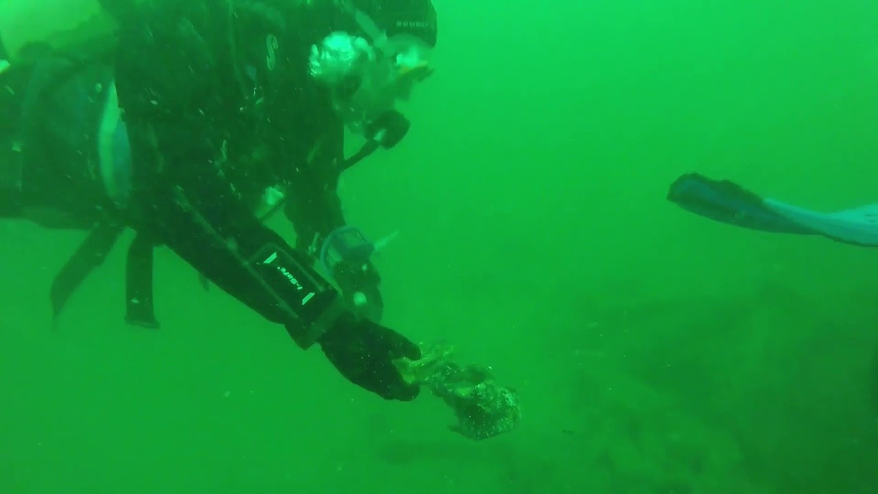 Asnelles-sur-Mer Calvados Normandie plongée épave Harpagas