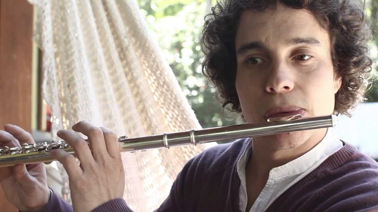 Videoaula 04 - FLAUTA TRANSVERSAL - O Toque de Cada Mestre