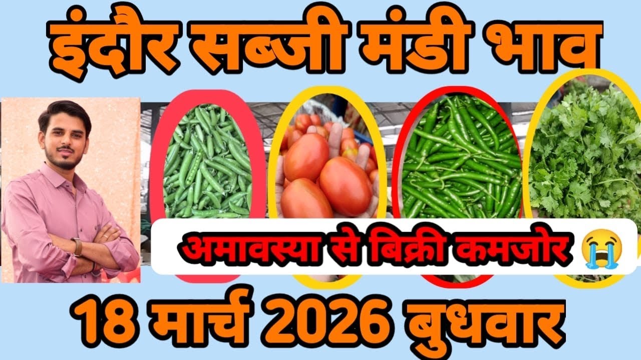 🍅🌶सब्जी मंडी इंदौर mp // सब्जी की बिक्री कमजोर 😳 #vegetables #sabjimandi // mandi bhav indore