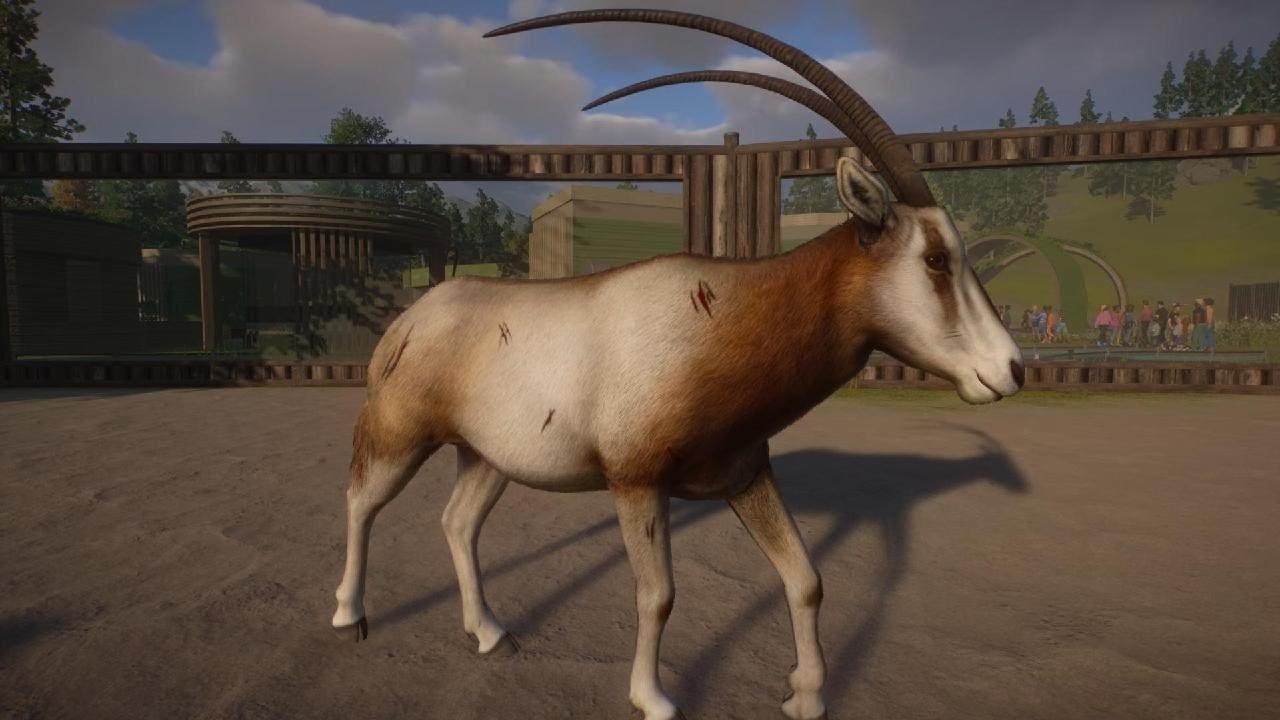 Planet Zoo Conservation Pack: Scimitar-Horned Oryx