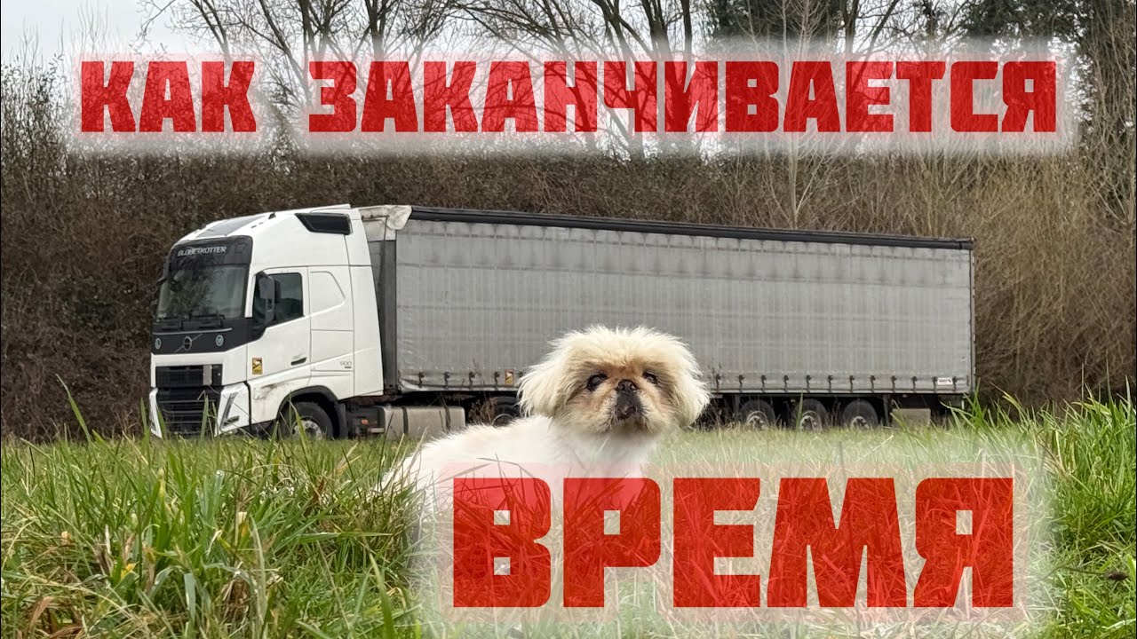 Когда маршрут решает не водитель🤷‍♂️