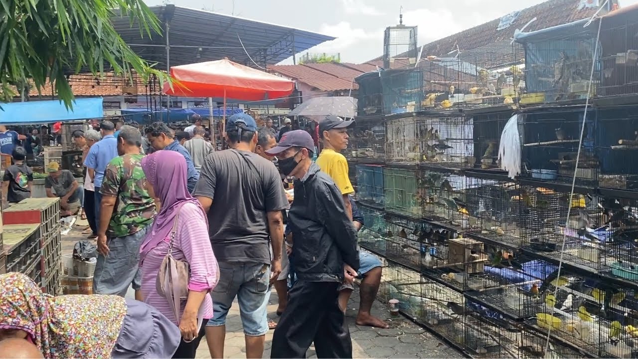 RAMAINYA PASAR BURUNG MAGELANG PAHING