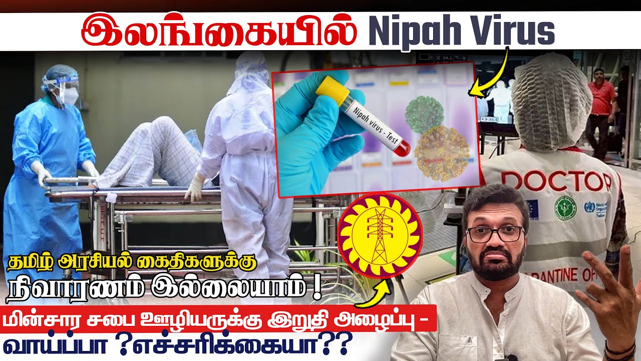 இலங்கையில் Nipah Virus ? PTA - தமிழ் அரசியல் கைதிகளுக்கு நிவாரணம் இல்லையாம் ! News Live Jan 29