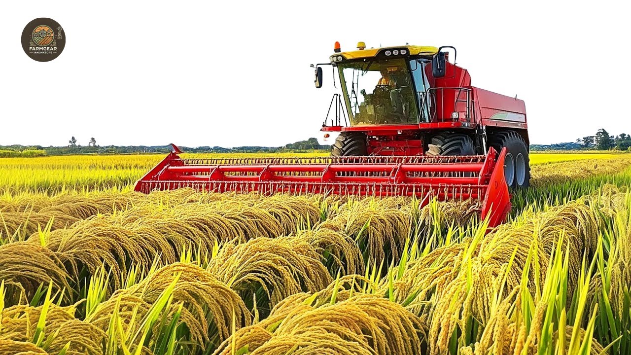 How Taiwan Grows Rice With Crazy Machines (So Satisfying!)