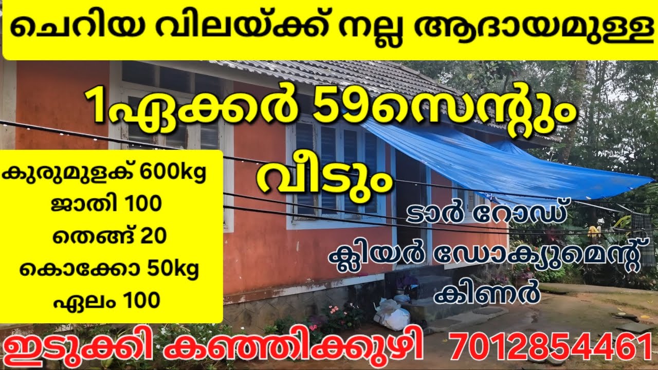 റ്റൈറ്റ് ആദായമുള്ള 1ഏക്കർ 59സെന്റും വീടും. ചെറിയ വിലയ്ക്ക്.ടാർ റോഡ് ഫ്രണ്ടേജ്. ഇടുക്കി കഞ്ഞിക്കുഴി 👇
